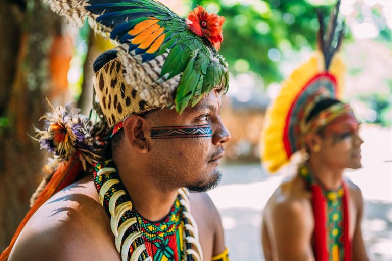 Samba, Sonne, Regenwald ©Nexa/adobestock