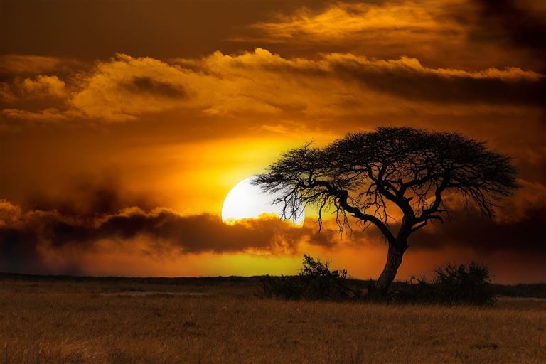 Länder-Hüpfen voller Erlebnisse in Afrikas Süden ©ArtushFoto/adobestock