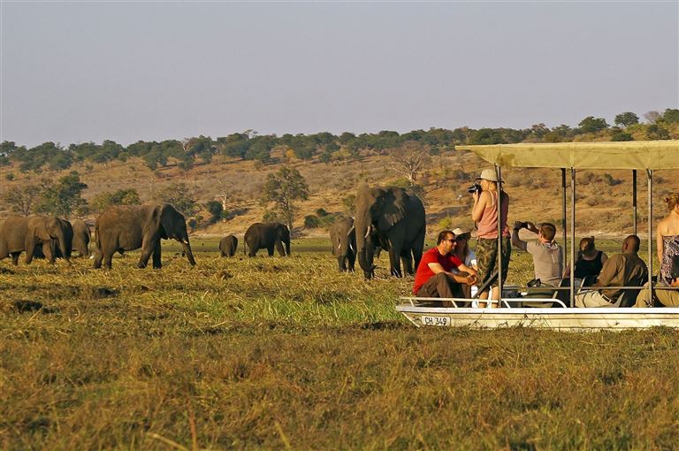 Auf Pirsch in der Savanne, im Einbaum durchs Delta © by DIAMIR Erlebnisreisen GmbH
