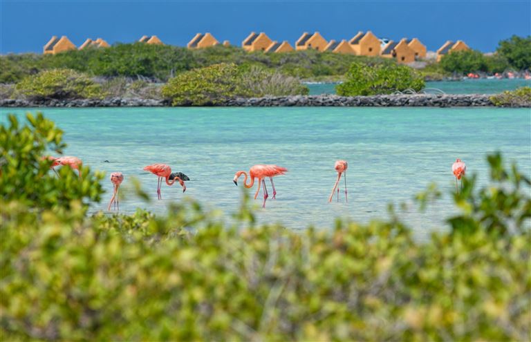 Inselhopping  ©Stephan Kogelman/istock