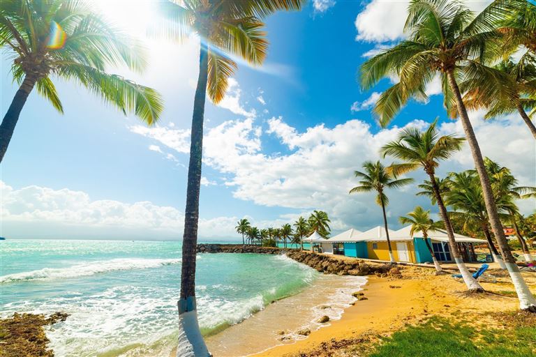 Guadeloupe & Lex Saintes entdecken – Rundreise