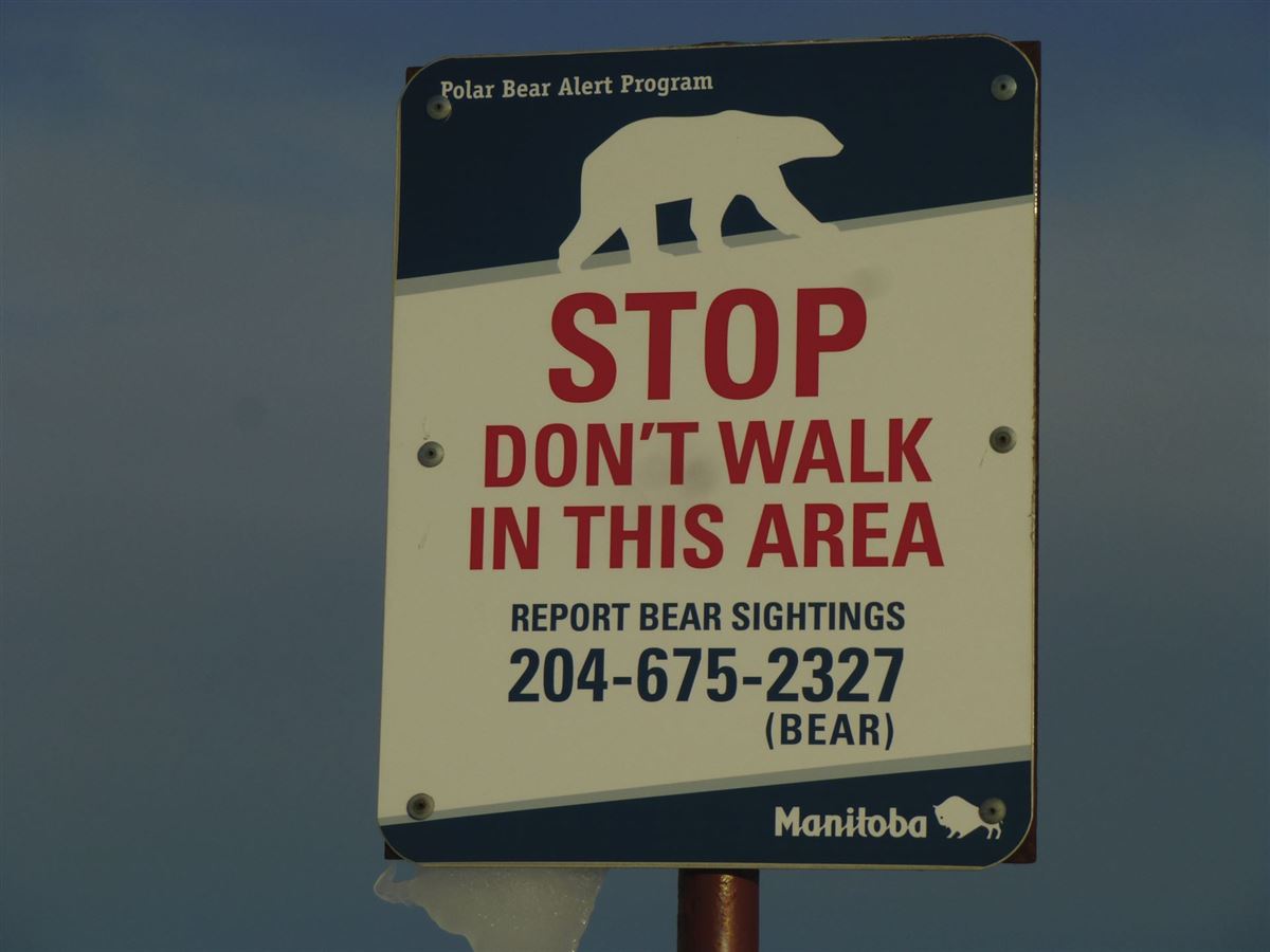 Schild