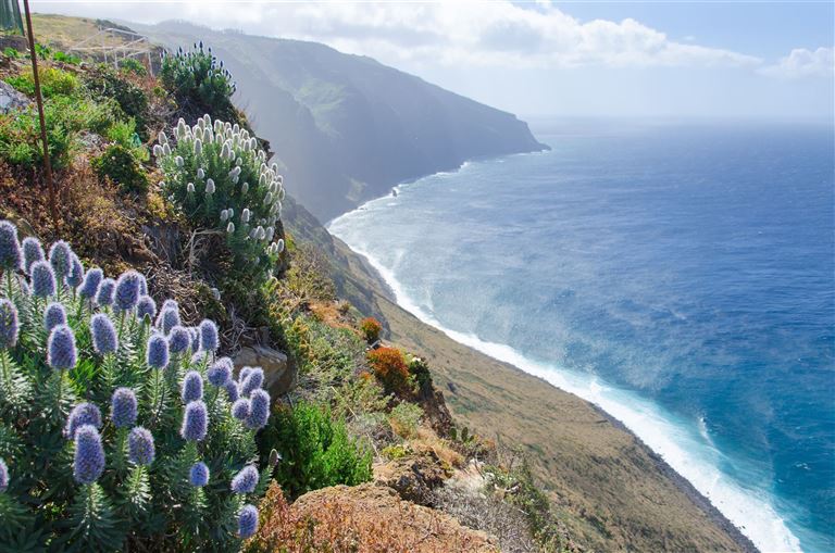 Madeira - Grüne Trauminsel im Atlantik ©camera work/adobestock