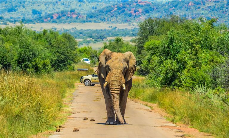 Namibia - Kaleidoskop der Kulturen – Rundreise