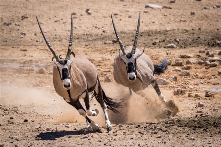Best of Namibia  – Rundreise