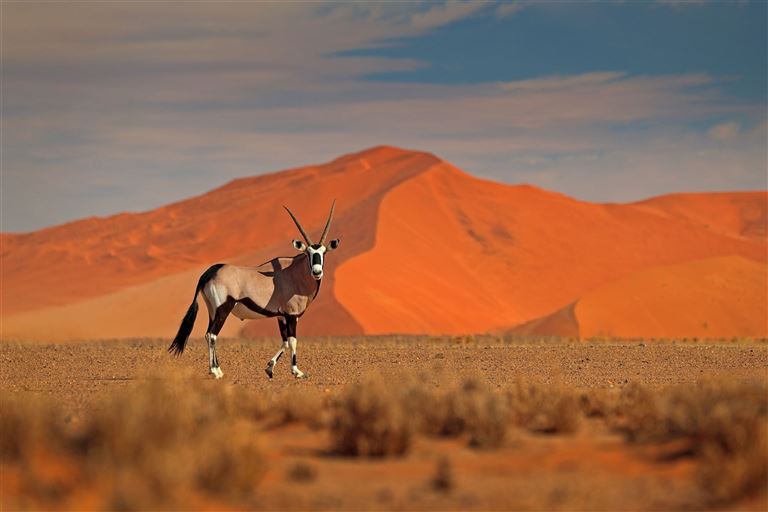 Namibias Highlights ©ondrejprosicky/adobestock