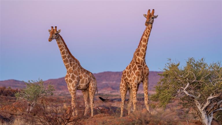 Best of South Africa – Rundreise