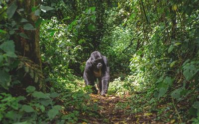 In kleiner Gruppe unterwegs im Herzen Afrikas – Rundreise