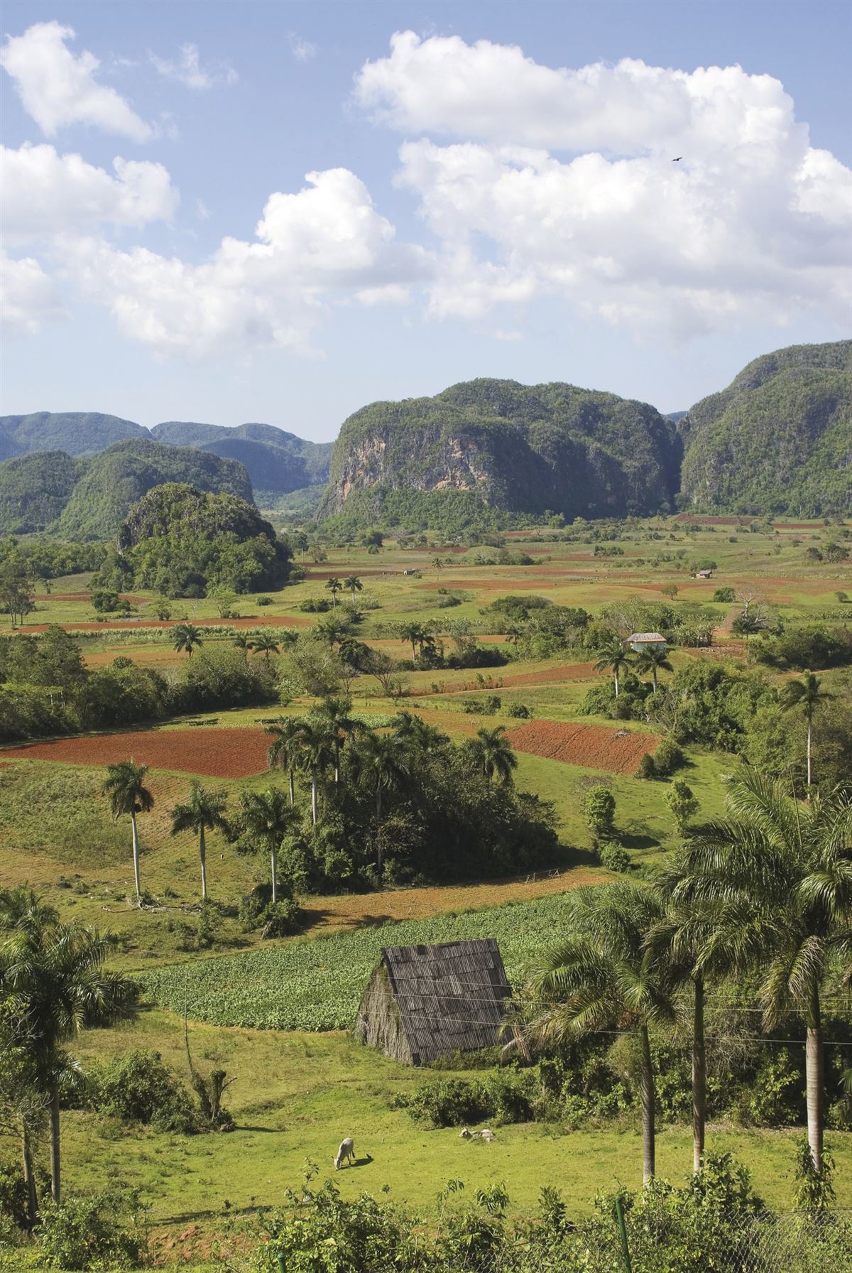 Das impostante Vinales-Tal