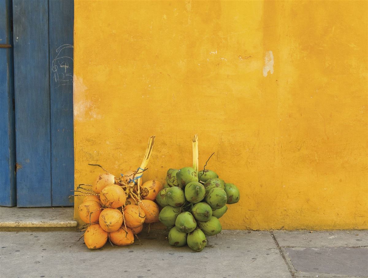 Frische Kokosnüsse in einer Straße in Cartagena