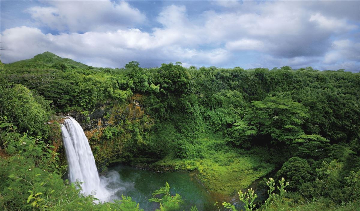 Sehr beeindruckend: die Wailua Falls auf Kauai