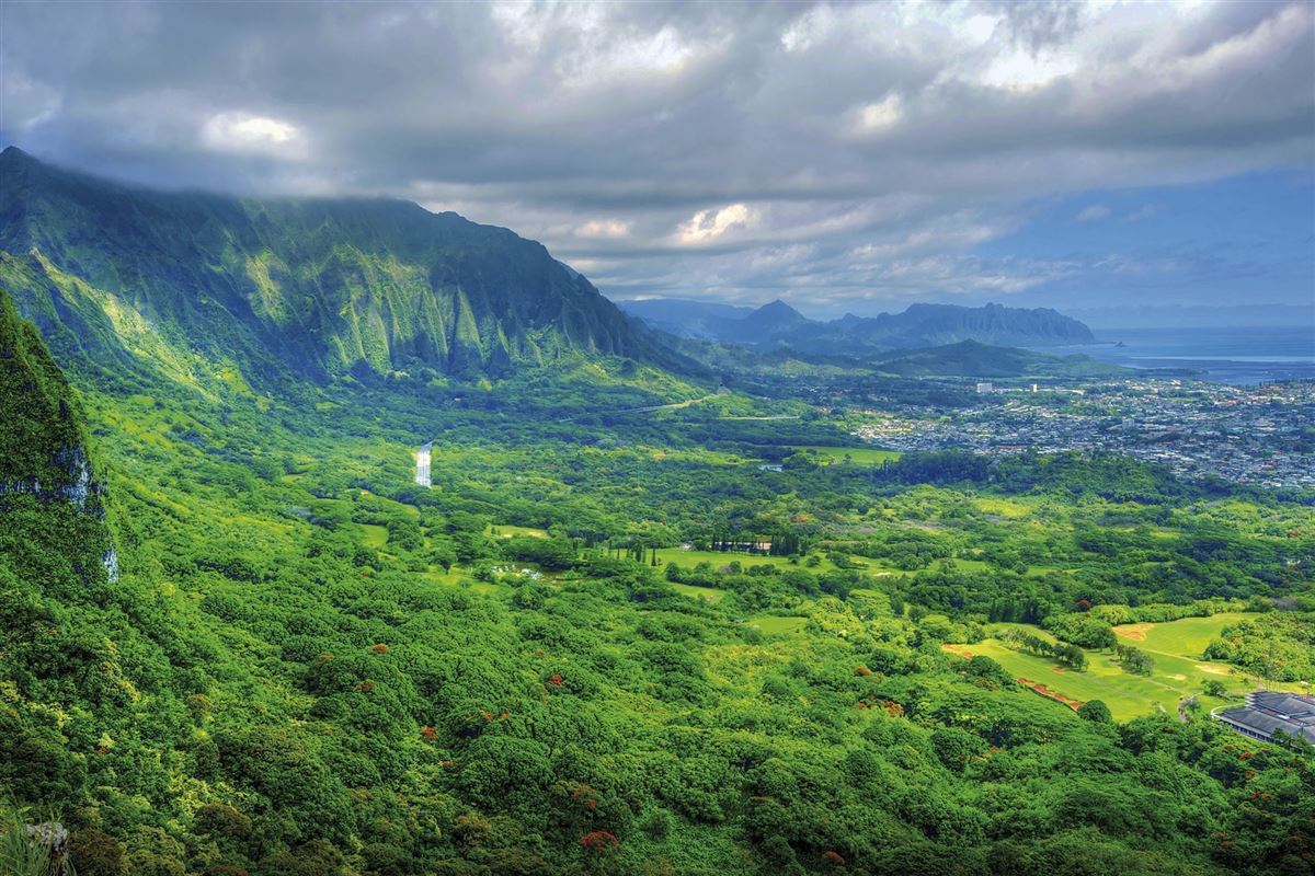 Üppiges Grün auf Oahu