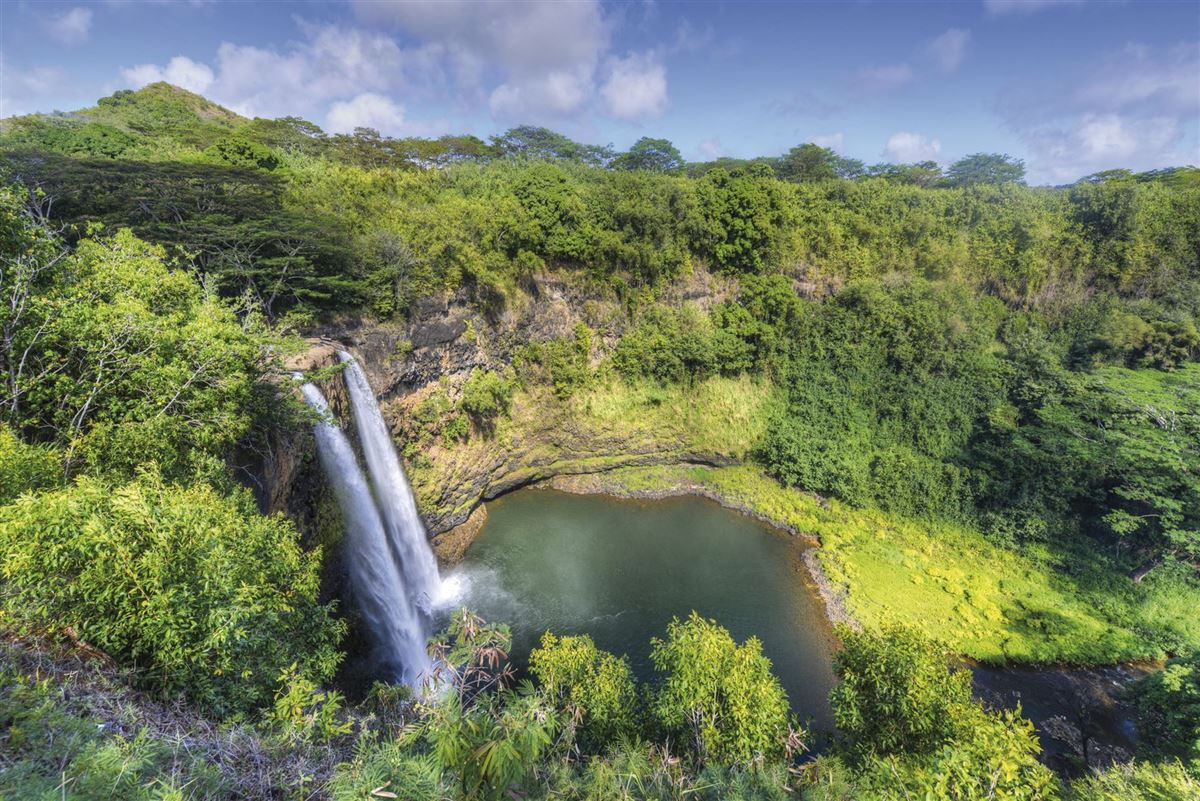 Grünes Kauai
