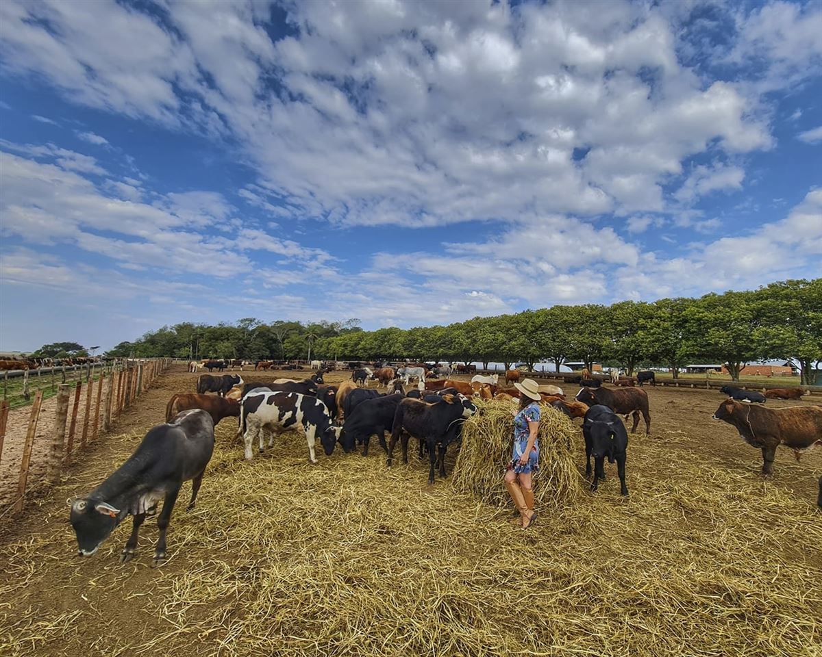 Paraguay, Estancia