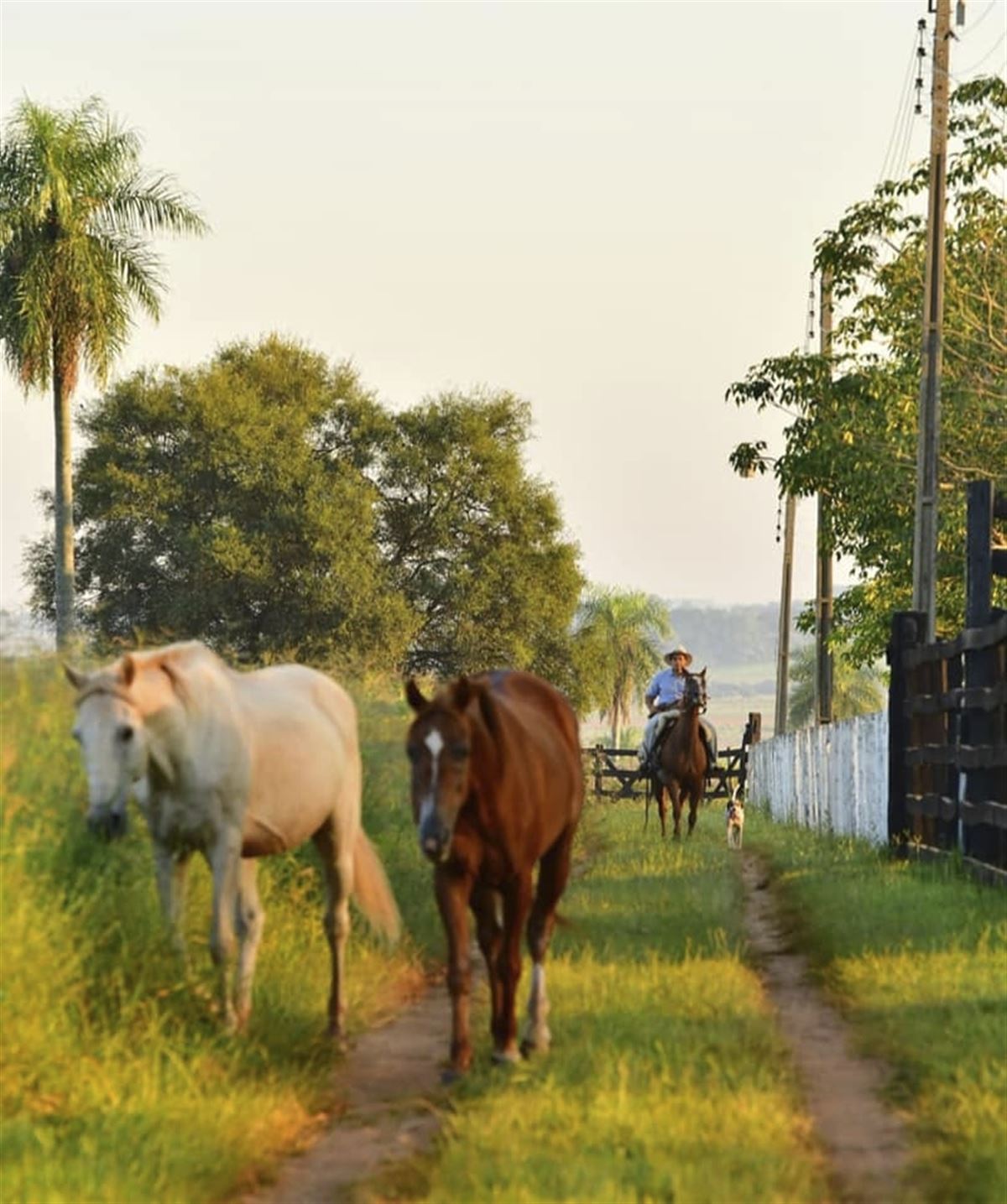 Paraguay, Estancia
