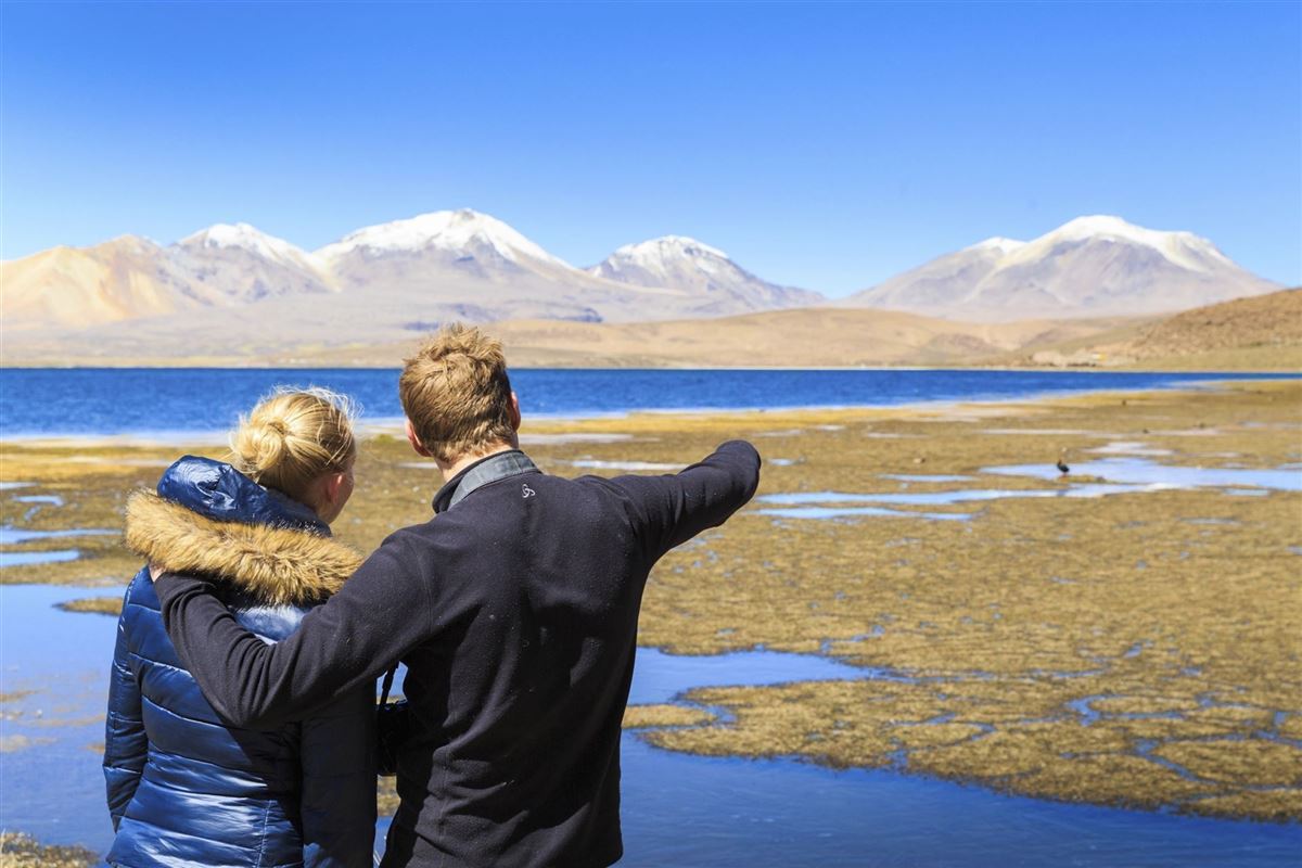 An den Hochlandlagungen der Atacama
