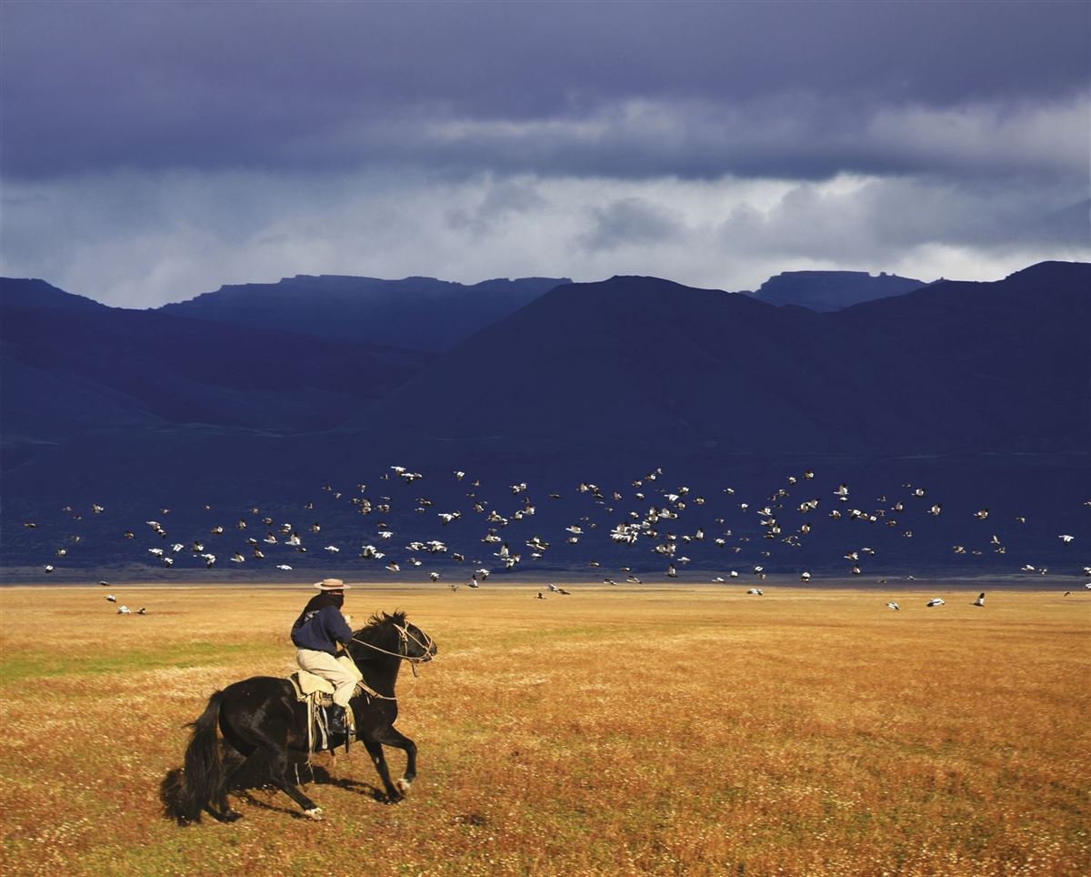 Gaucho in Patagonien