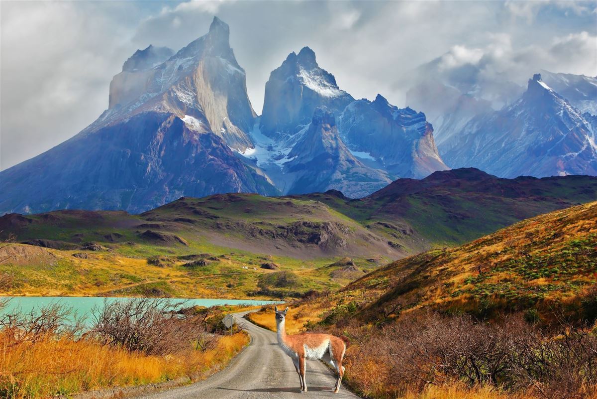 Begegnung im Nationalpark Torres del Paine, Patagonien