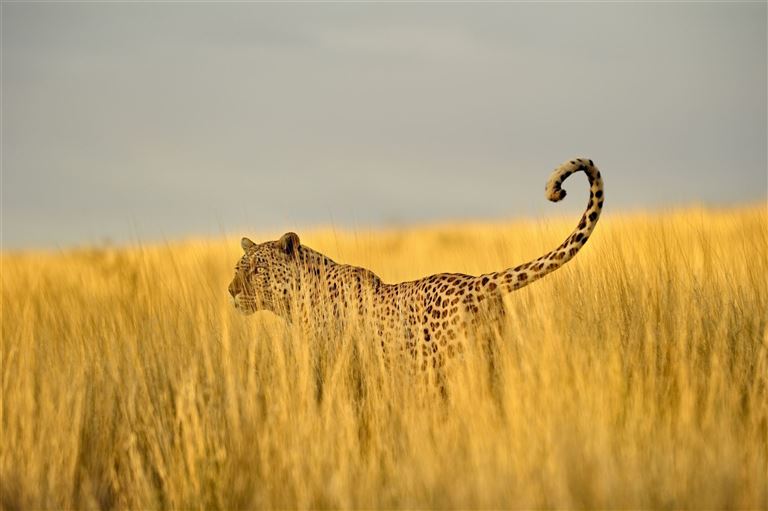 Namibias raue Schönheit fühlen ©Sproetniek/istock