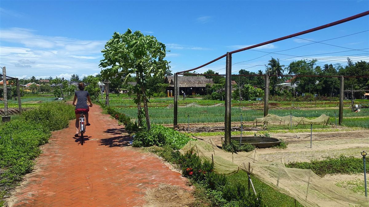 Fahrradtour ins Dorf Tra Que nahe der alten Stadt Hoi An