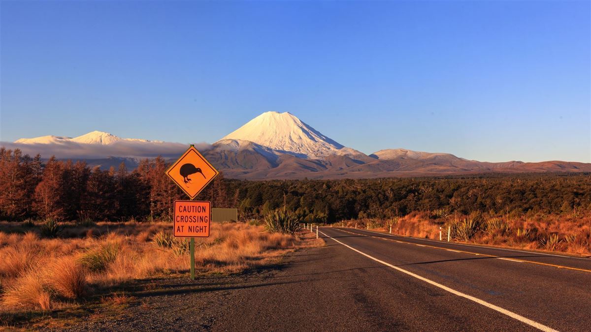Kiwi-Verkehrsschild und Vulkan Ngauruhoe im Tongariro-Nationalpark