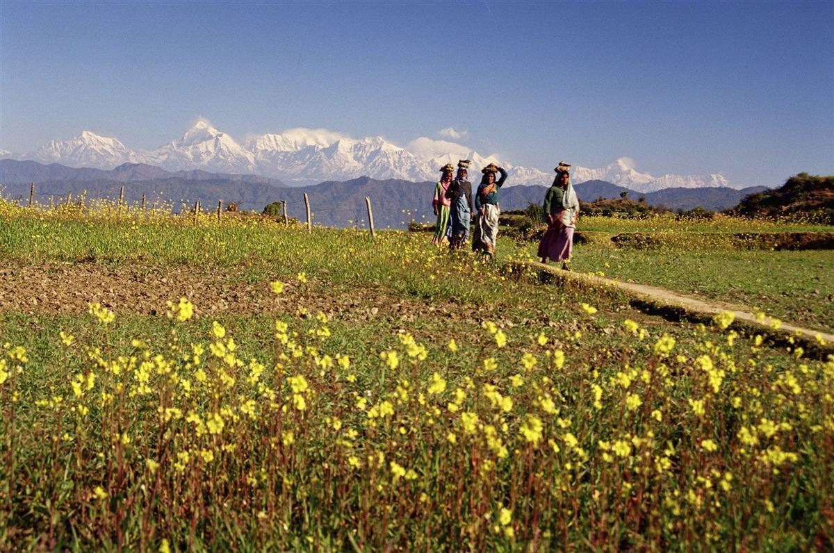 Himalayan View around Kasar Devi