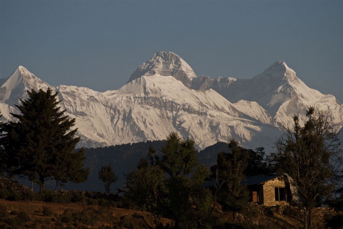 Himalayan View
