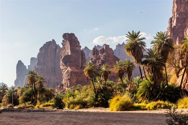 Höhepunkte Saudi-Arabiens – Rundreise