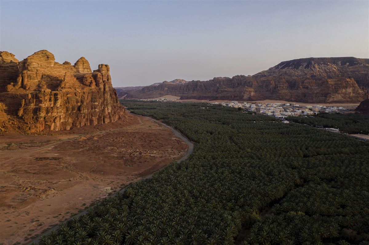 Blick auf die grüne Oase und die schroffen Wüsten- und Felslandschaft AlUlas