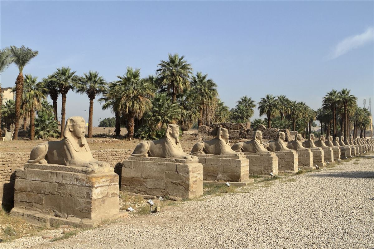 Sphinx-Allee in Luxor