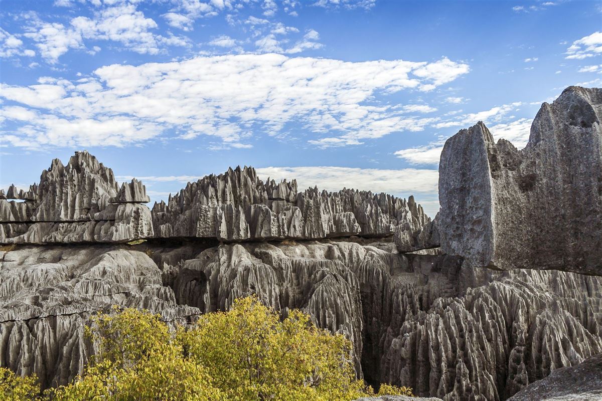 Bizarre Felsen: Tsingy de Bemaraha