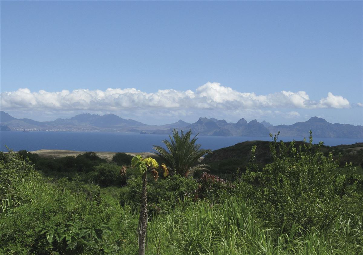 Blick auf São Vicente