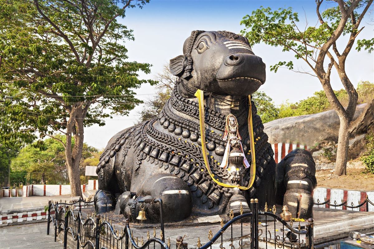 Nandy-Statur in Mysore