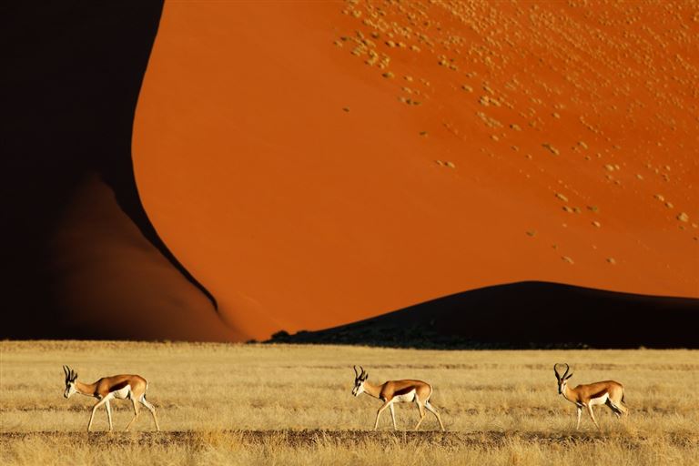 Grandiose Landschaften Südens ©Louis /adobestock