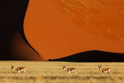 Grandiose Landschaften Südens – Rundreise