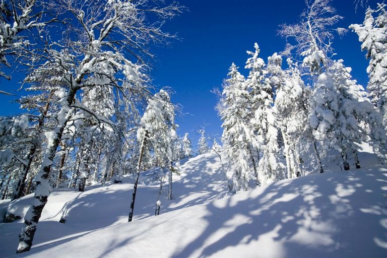 Auf der Rentierroute im eisigen Norden – Rundreise