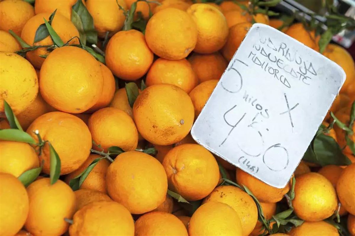 typisch mallorquinisches Produkt: Orangen - Klaus Hoffmann