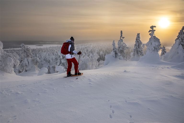 Harriniva - Das Beste von Lappland ©Sitikka/istock