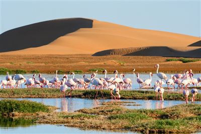 Faszination Namibia – Rundreise