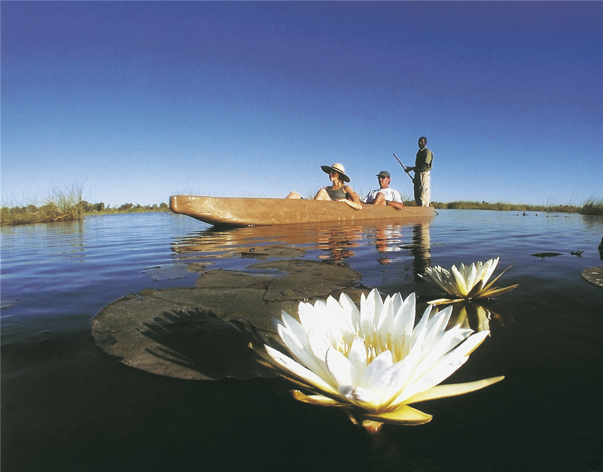 Ausflug im Mokoro im Okavango-Delta