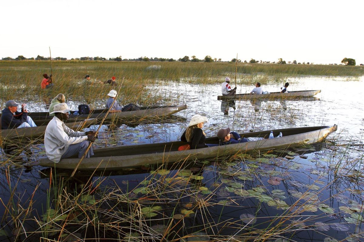 Ausflug im Mokoro durch die Wasserkanäle im Delta