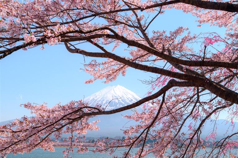 Attraktionen Japans  – Rundreise