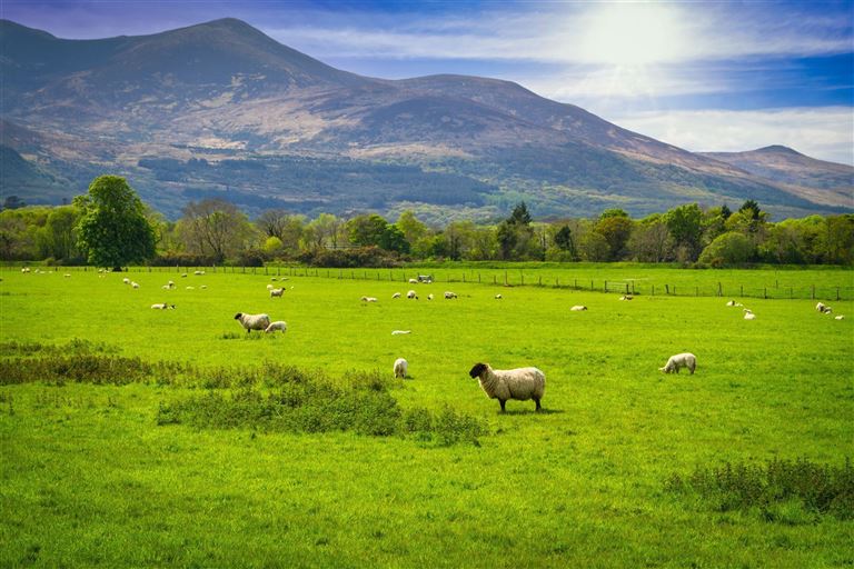 Naturrausch am Atlantik ©Patryk_Kosmider/istock