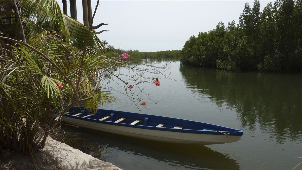 am Gambia-Fluss