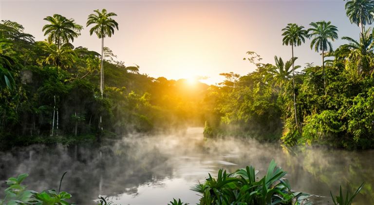 Brasilien optimal ©Marco /adobestock