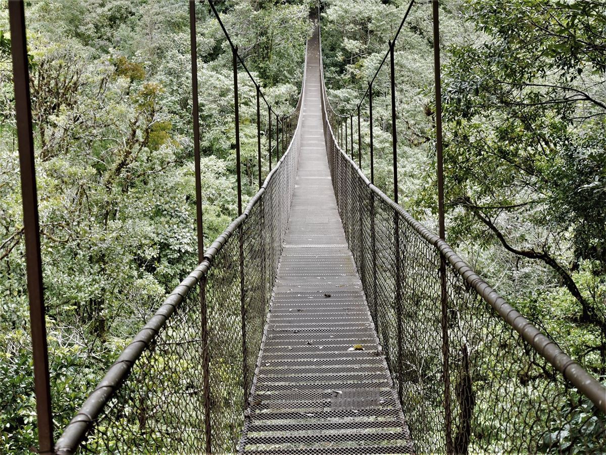 Hängebrücke im Nebelwald (Chiriqui)