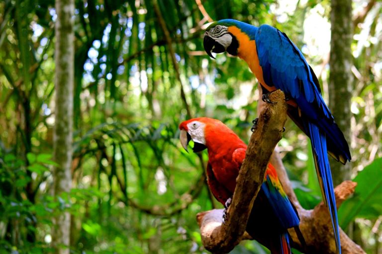 Naturwunder Brasiliens – Rundreise