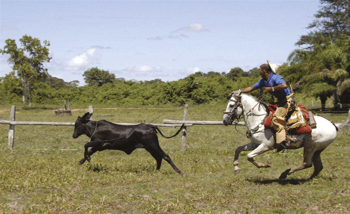 Gaucho im Pantanal