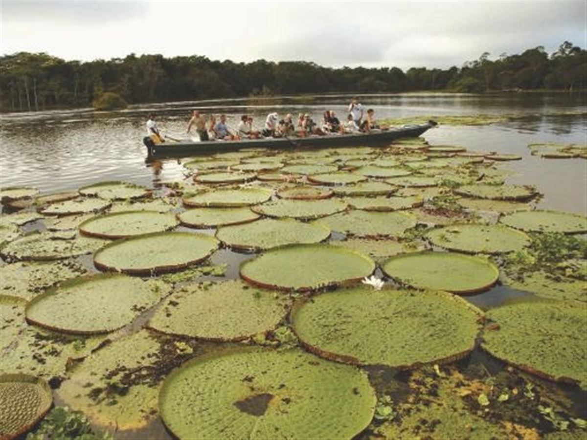 Im Beiboot auf dem Janauaca-See