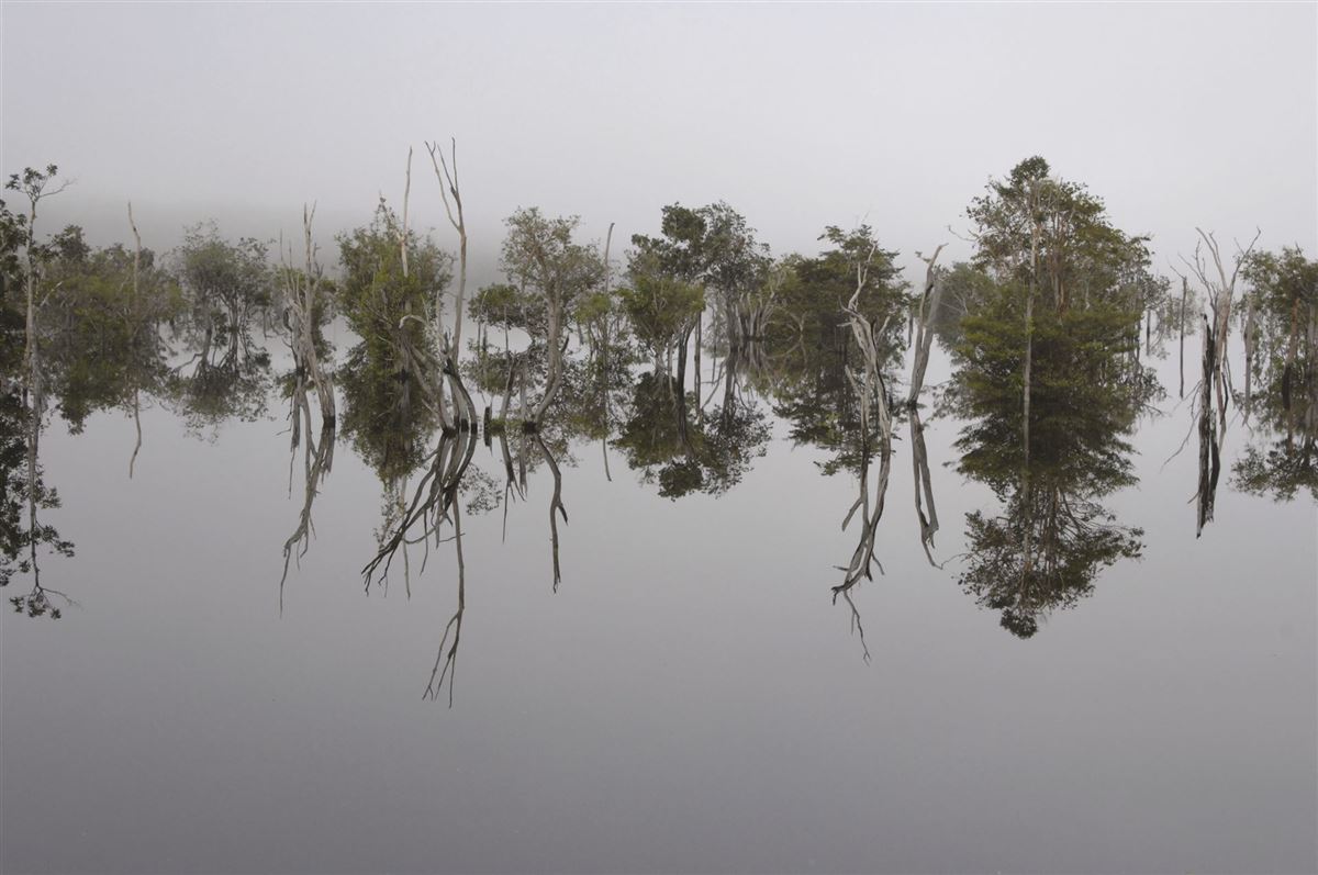 Hochwasser am Rio Negro